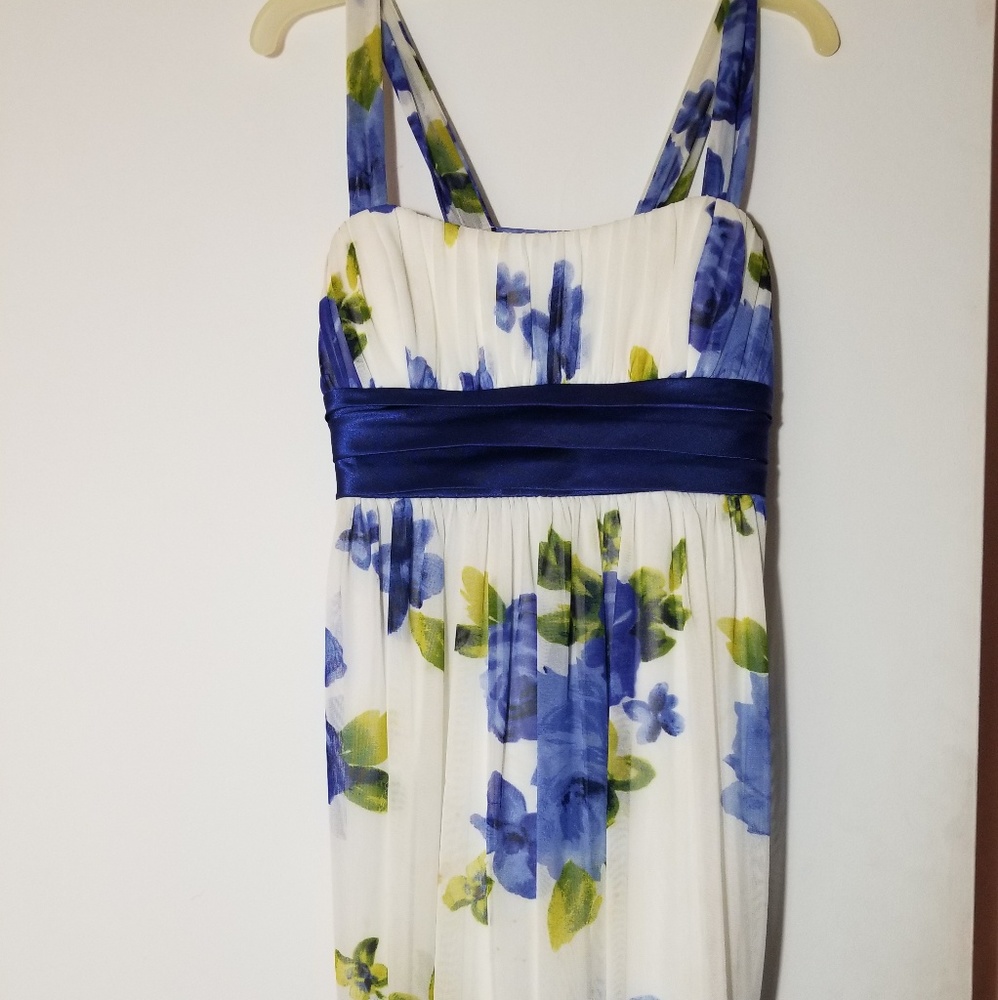 Blue Rose Dress